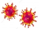 اطلاع رسانی در خصوص ویروس کرونا 