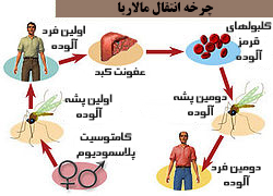 راه های انتقال بیماری مالاریا